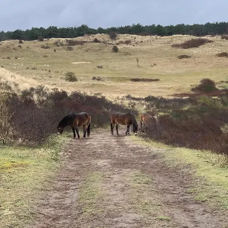 Villa Huize Louwra Egmond-Binnen