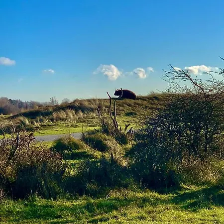 Huize Louwra Villa *