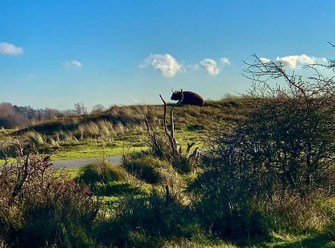 Huize Louwra Villa *